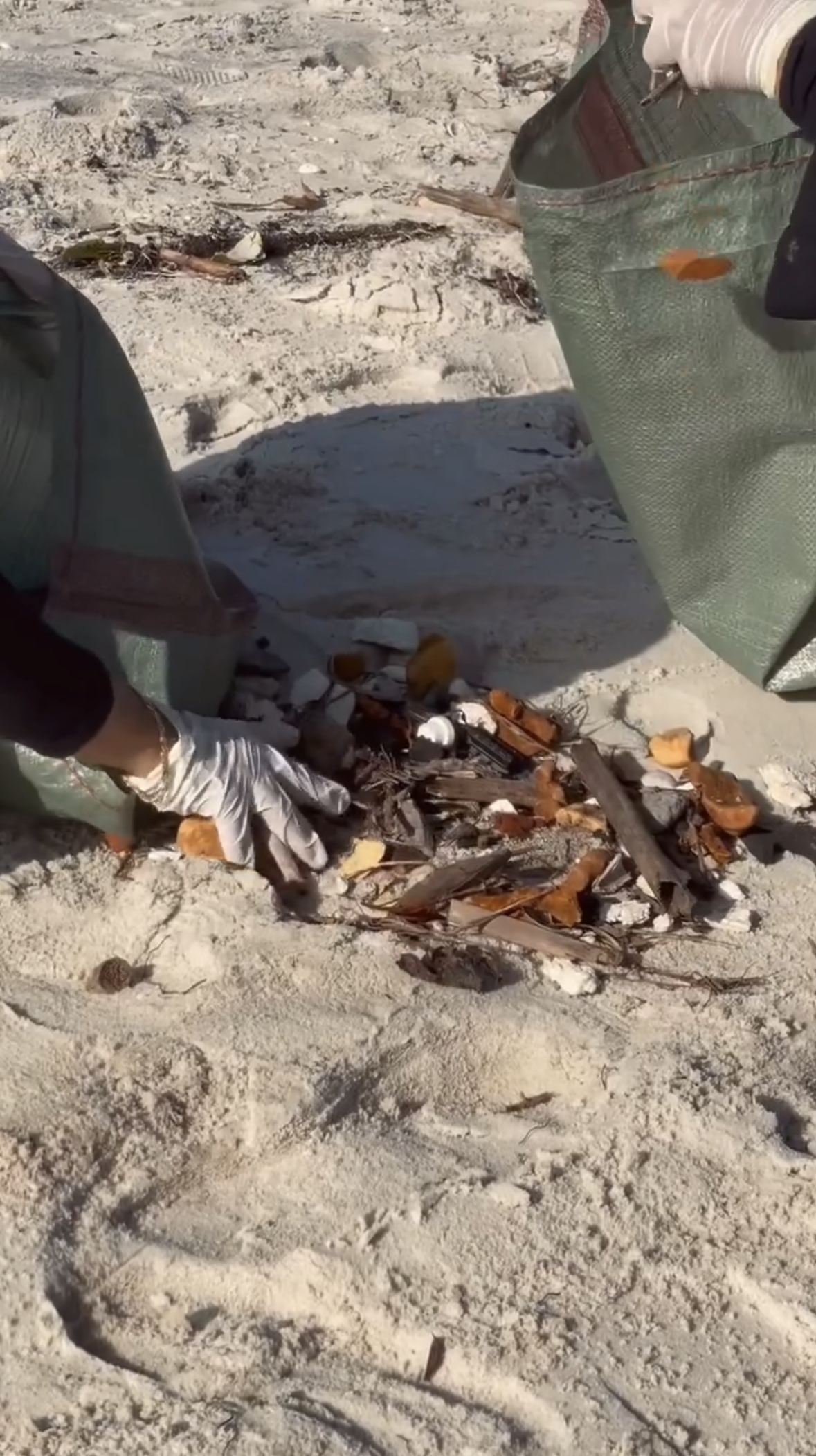 Coastal Beach Cleanups photo 5