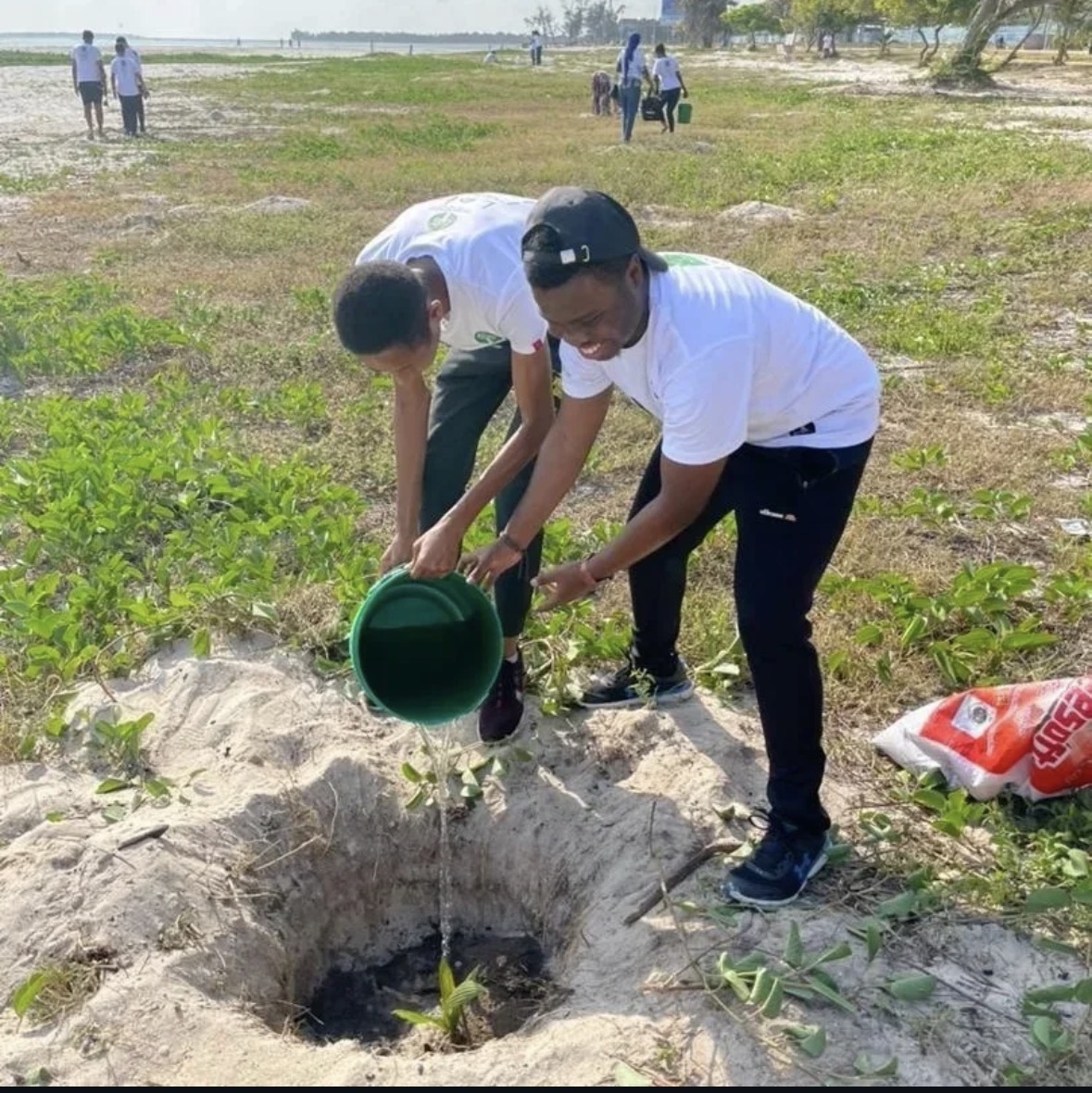 Tree Planting: Project MYK, Photo 3